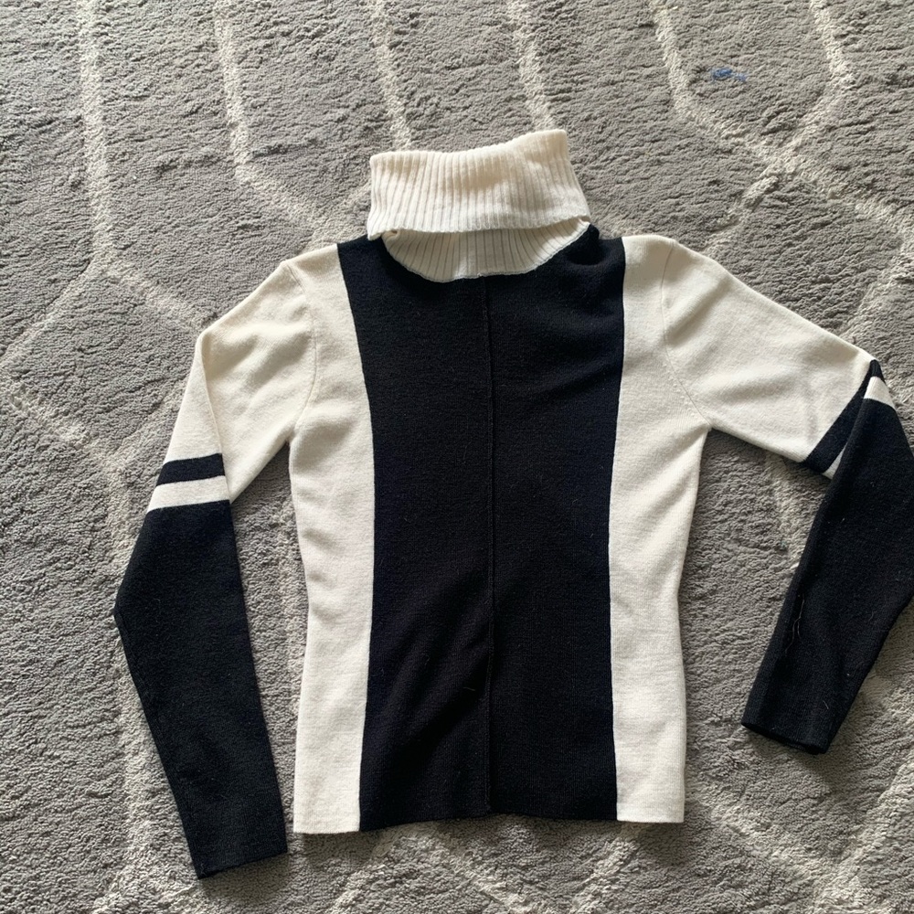 Beautiful Colorblock turtleneck